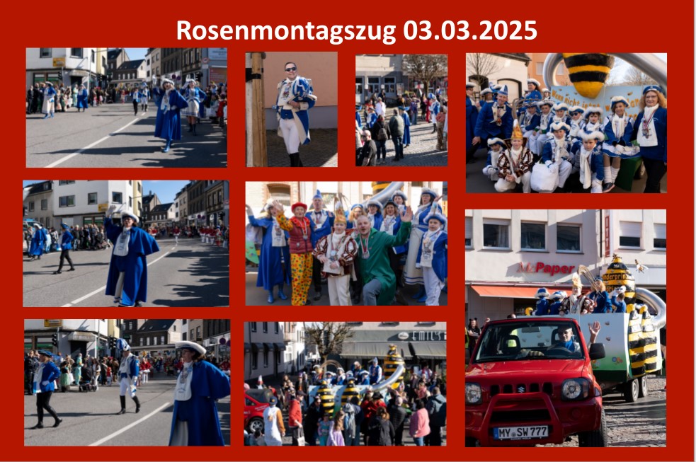 Rosenmontagszug 25